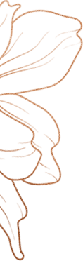 A large lotus on the left side of the section. In the bronze gradient outline.